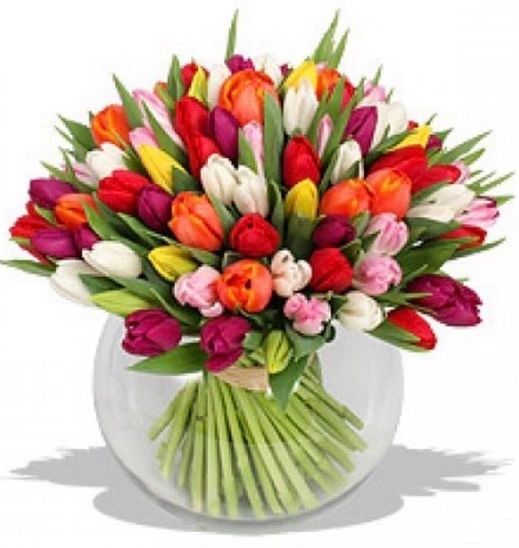 Bouquet of colorful tulips in a clear vase on a white background