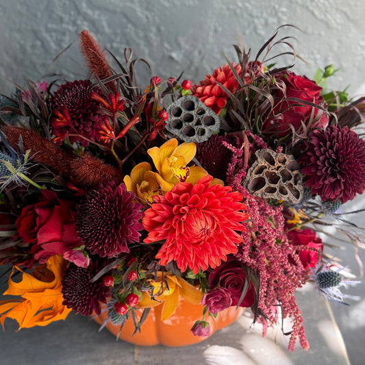 Halloween | Premium Designer’s Choice