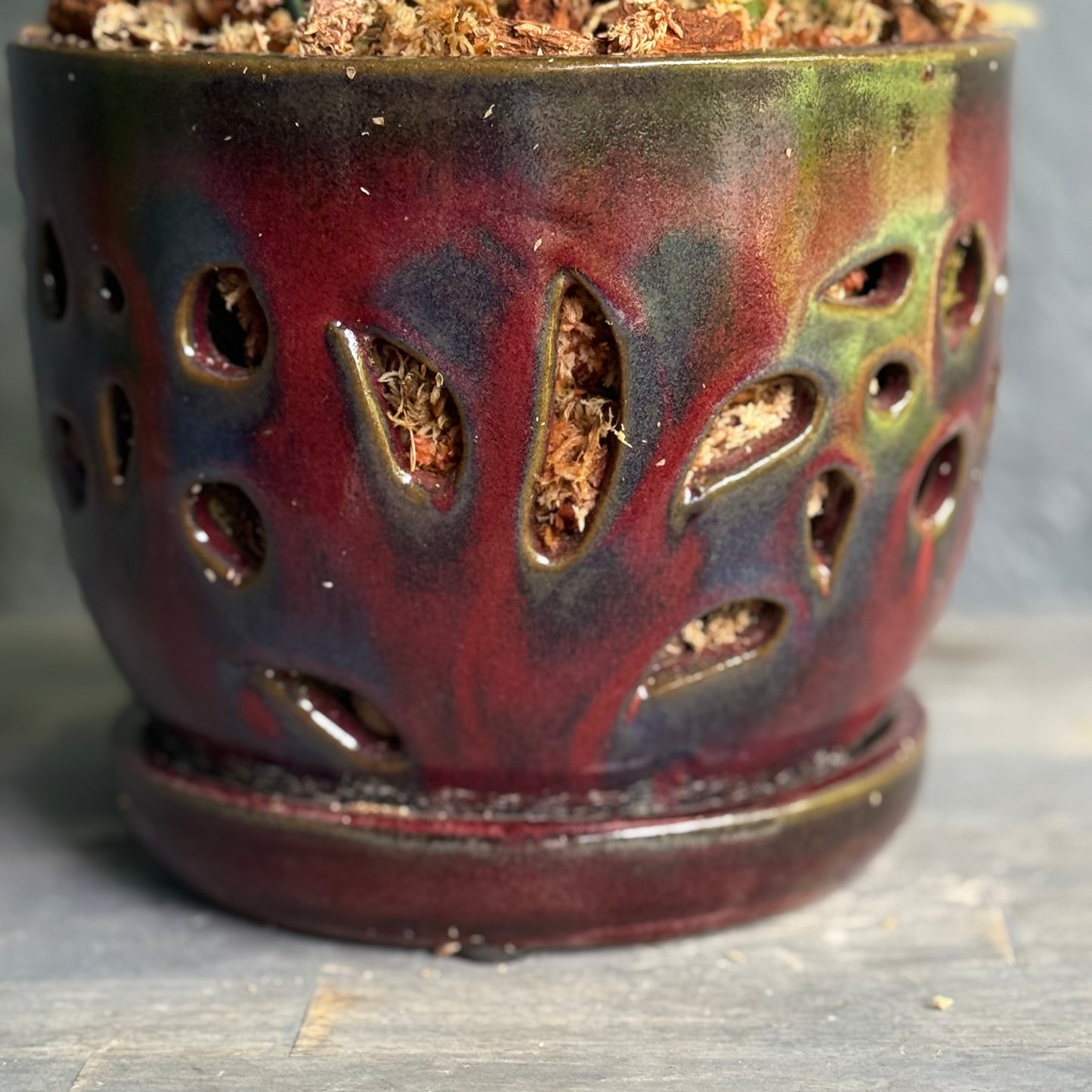 Multi-Stem Orchids in Designer Pot – Palm Harbor Delivery