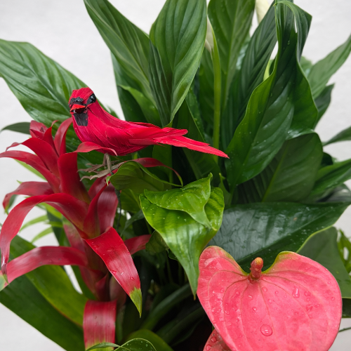 Red bird perched on a red flower with green leaves in the background