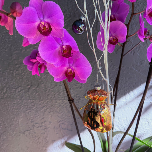 Purple orchids with a money bag