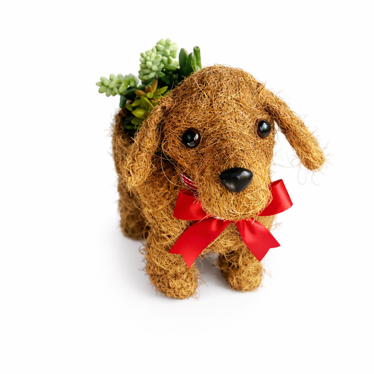 Coconut fiber dog-shaped planter with a red bow and succulents