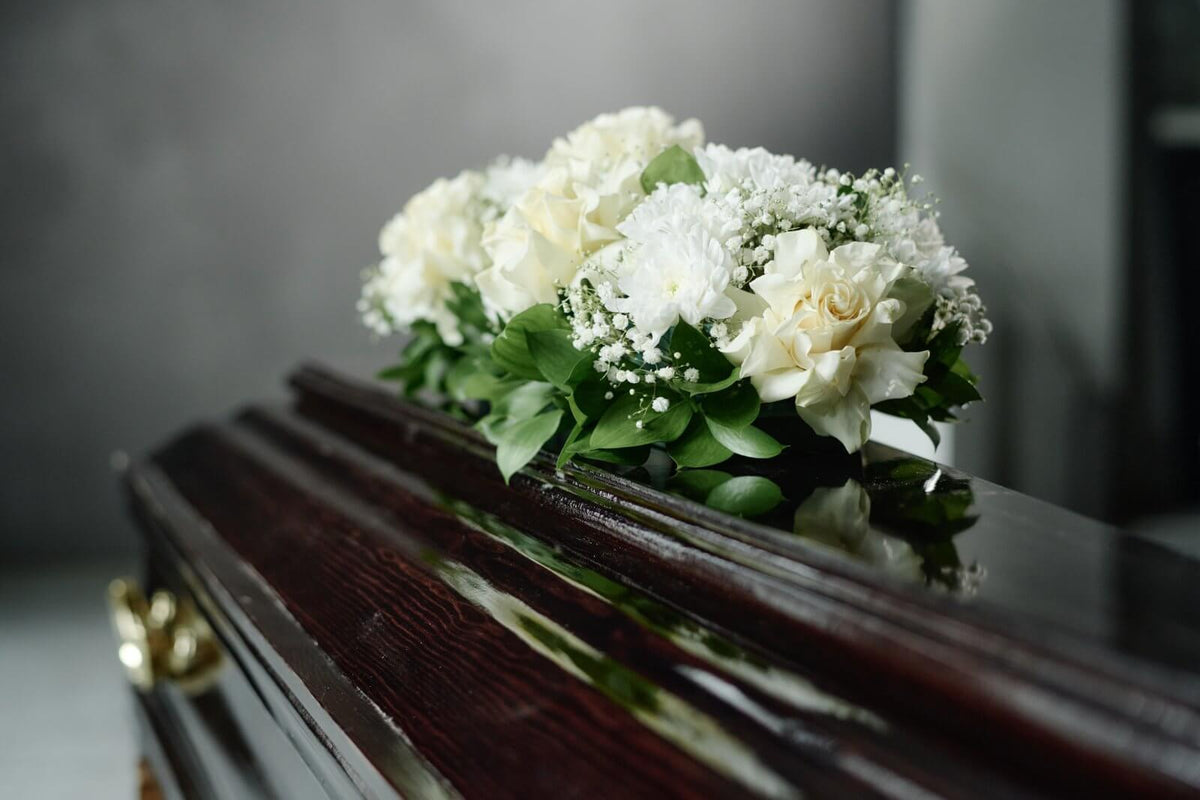 sympathy white lilies and potted orchid tribute sympathy white lilies and potted orchid tribute