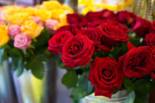 Shop Bulk Blooms in Tampa for Huge Event Savings