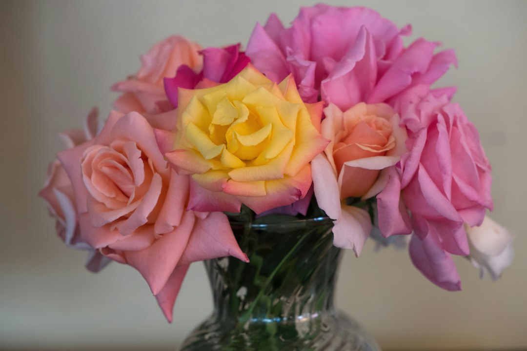Stop and Smell the Roses with These Perfect Mother's Day Arrangements