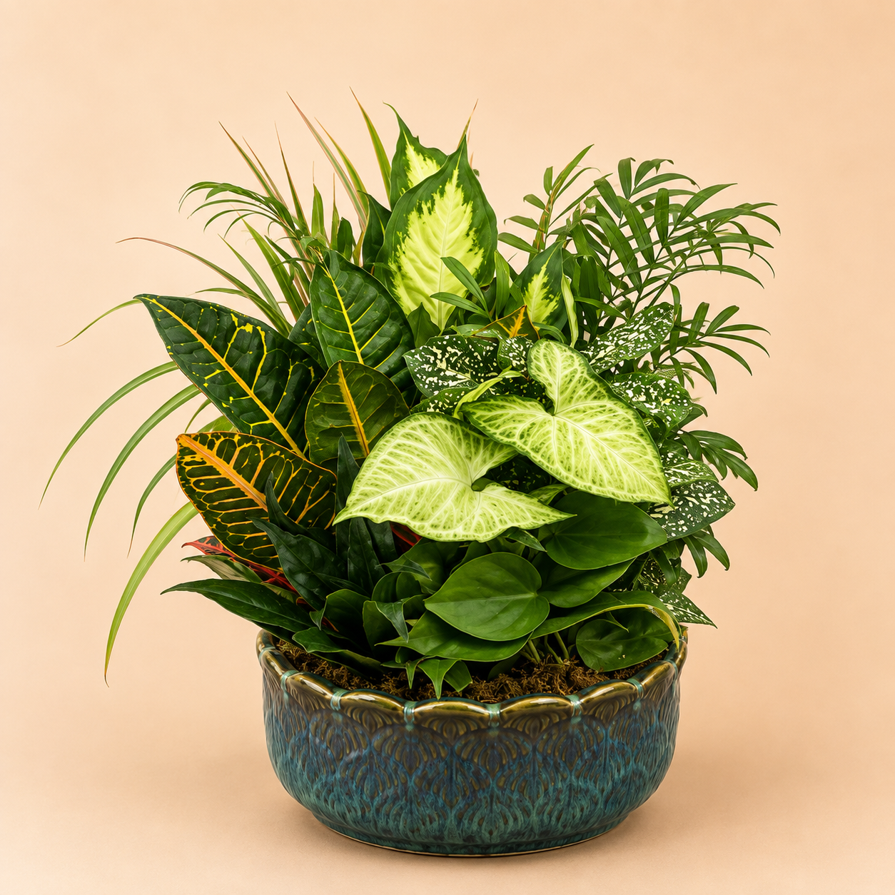 A potted mixed green plant arrangement in a textured blue-green ceramic pot