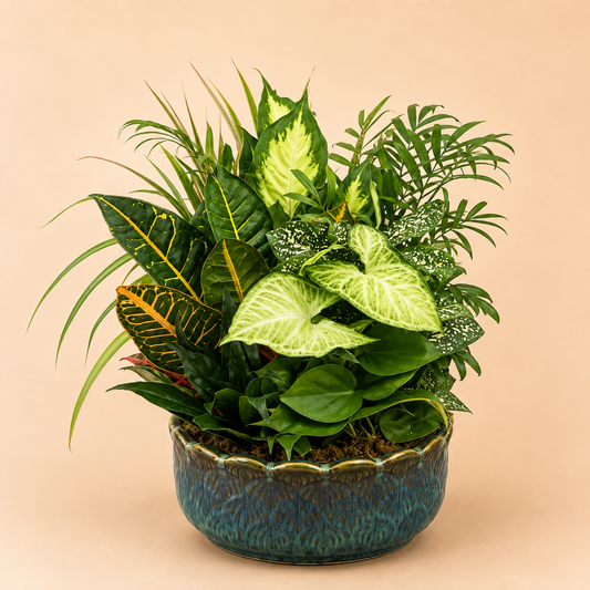 A potted mixed green plant arrangement in a textured blue-green ceramic pot