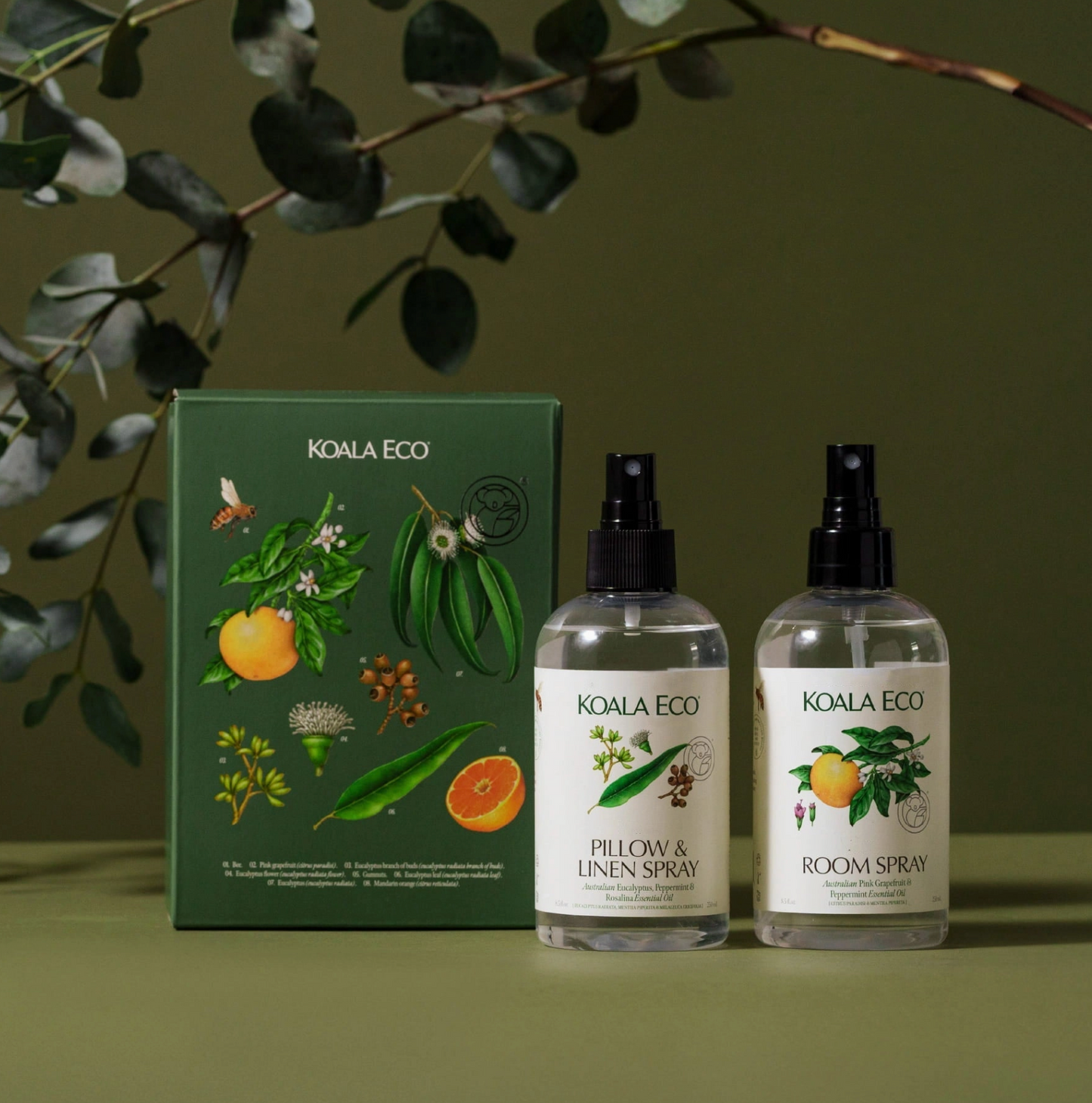 Two KOALA ECO spray bottles and a packaging box on a green background with eucalyptus leaves.