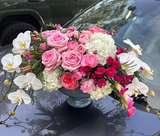 #2608 Royal Orchid Splendor