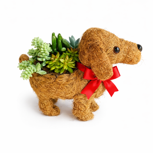Dog-shaped planter with succulents and a red bow on a white background