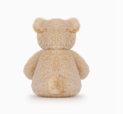 teddy bear on a white background